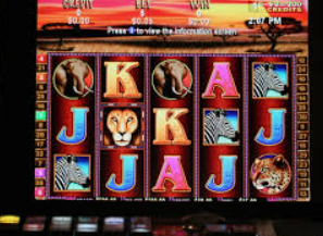 森林舞会电玩城正式版